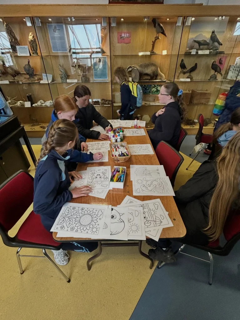 What a fantastic day on our school trip to St Enda&rsquo;s Park! 🚌🌳
We travelled on the Dublin Bus and enjoyed a fascinating history tour of the Pearse Museum. A huge thank you to our amazing tour guide, Shannon, who made the experience so engaging and enjoyable for everyone. ⭐
The children also visited the Nature Room, where they learned about and saw lots of different types of animals. They enjoyed reading all about them and taking part in a variety of creative art activities inspired by what they discovered. 🎨🦊
Afterwards, we had a lovely picnic outside in the sunshine before spending the afternoon playing football and badminton, exploring among the trees, and enjoying all that the park has to offer. ⚽🏸🌲
A wonderful day full of learning, creativity, nature, and fun memories! 💚 #OutdoorLearning #NatureExplorers #LearningThroughPlay