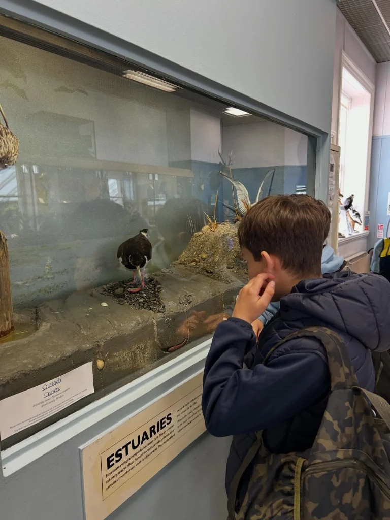 What a fantastic day on our school trip to St Enda&rsquo;s Park! 🚌🌳
We travelled on the Dublin Bus and enjoyed a fascinating history tour of the Pearse Museum. A huge thank you to our amazing tour guide, Shannon, who made the experience so engaging and enjoyable for everyone. ⭐
The children also visited the Nature Room, where they learned about and saw lots of different types of animals. They enjoyed reading all about them and taking part in a variety of creative art activities inspired by what they discovered. 🎨🦊
Afterwards, we had a lovely picnic outside in the sunshine before spending the afternoon playing football and badminton, exploring among the trees, and enjoying all that the park has to offer. ⚽🏸🌲
A wonderful day full of learning, creativity, nature, and fun memories! 💚 #OutdoorLearning #NatureExplorers #LearningThroughPlay