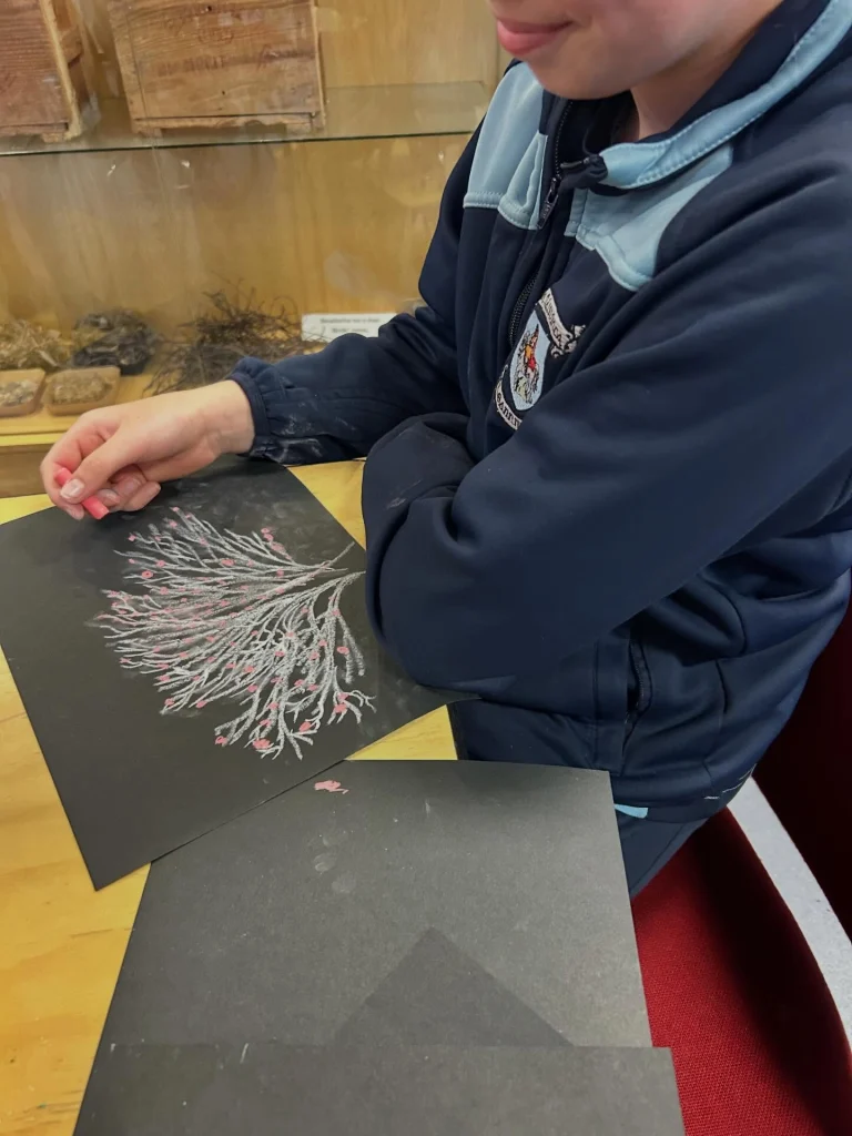 What a fantastic day on our school trip to St Enda&rsquo;s Park! 🚌🌳
We travelled on the Dublin Bus and enjoyed a fascinating history tour of the Pearse Museum. A huge thank you to our amazing tour guide, Shannon, who made the experience so engaging and enjoyable for everyone. ⭐
The children also visited the Nature Room, where they learned about and saw lots of different types of animals. They enjoyed reading all about them and taking part in a variety of creative art activities inspired by what they discovered. 🎨🦊
Afterwards, we had a lovely picnic outside in the sunshine before spending the afternoon playing football and badminton, exploring among the trees, and enjoying all that the park has to offer. ⚽🏸🌲
A wonderful day full of learning, creativity, nature, and fun memories! 💚 #OutdoorLearning #NatureExplorers #LearningThroughPlay