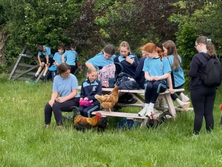What a lovely morning we had for our Sponsored Walk!  The children were absolutely brilliant and walked at an incredible pace, chatting, laughing and enjoying the morning together. We finished up at @goughies_coffee for a very well earned lunch break, with the chickens providing great entertainment too!  A huge well done to all of the children. They took it all in their stride and made it look easy.  There is still time to sponsor us as we continue fundraising for our outdoor classroom.  https://www.idonate.ie/cause/glenasmolenationalschool  Thank you so much to everyone who has supported us so far. It really means so much to our school.