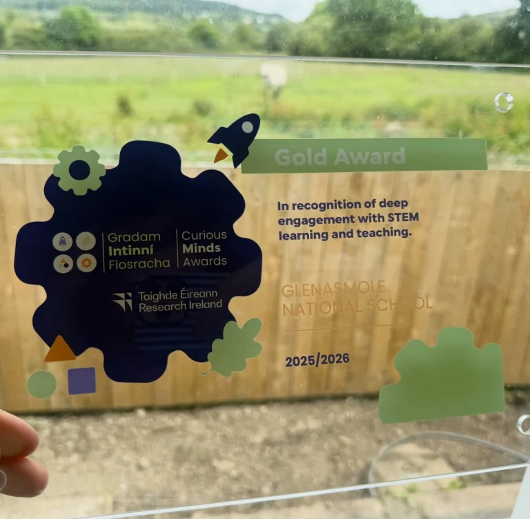 We are very proud to have received our Curious Minds Gold Award for 2025/2026.  This award recognises the deep engagement with STEM learning and teaching taking place in our school.  The judges commented on the huge amount of STEM work carried out in our school this year, as well as our comprehensive experiment log, the children&rsquo;s enjoyment of their activities, our technology work, our wellbeing video series and the Student Council&rsquo;s campaign.  They were also impressed by the way our pupils shared their learning with other young people through events such as our Science Fair and Science Blast.  We are so proud of our children for their curiosity, creativity, problem solving and teamwork, and of our staff for the wonderful learning experiences they provide.  A huge well done to everyone involved. Keep up the fantastic work!