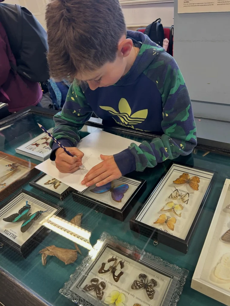 What a fantastic day on our school trip to St Enda&rsquo;s Park! 🚌🌳
We travelled on the Dublin Bus and enjoyed a fascinating history tour of the Pearse Museum. A huge thank you to our amazing tour guide, Shannon, who made the experience so engaging and enjoyable for everyone. ⭐
The children also visited the Nature Room, where they learned about and saw lots of different types of animals. They enjoyed reading all about them and taking part in a variety of creative art activities inspired by what they discovered. 🎨🦊
Afterwards, we had a lovely picnic outside in the sunshine before spending the afternoon playing football and badminton, exploring among the trees, and enjoying all that the park has to offer. ⚽🏸🌲
A wonderful day full of learning, creativity, nature, and fun memories! 💚 #OutdoorLearning #NatureExplorers #LearningThroughPlay