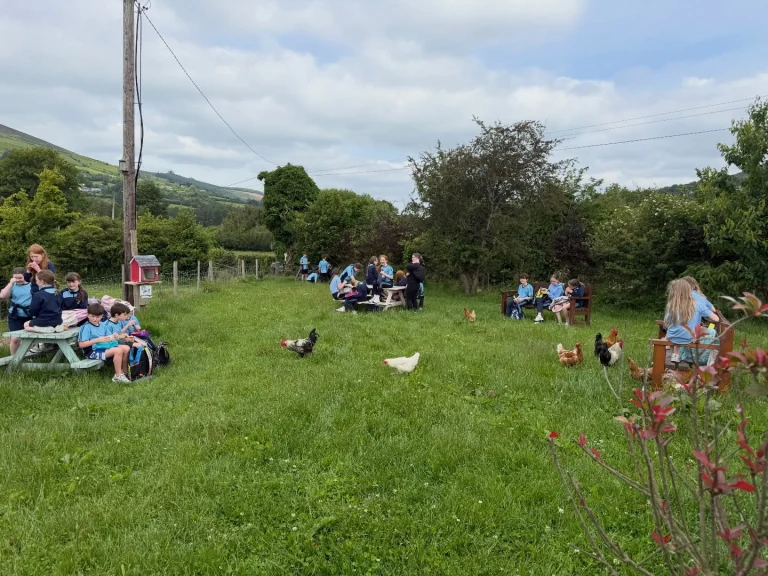 What a lovely morning we had for our Sponsored Walk!  The children were absolutely brilliant and walked at an incredible pace, chatting, laughing and enjoying the morning together. We finished up at @goughies_coffee for a very well earned lunch break, with the chickens providing great entertainment too!  A huge well done to all of the children. They took it all in their stride and made it look easy.  There is still time to sponsor us as we continue fundraising for our outdoor classroom.  https://www.idonate.ie/cause/glenasmolenationalschool  Thank you so much to everyone who has supported us so far. It really means so much to our school.